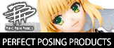 PERFECT-POSING-PRODUCTS02.gif