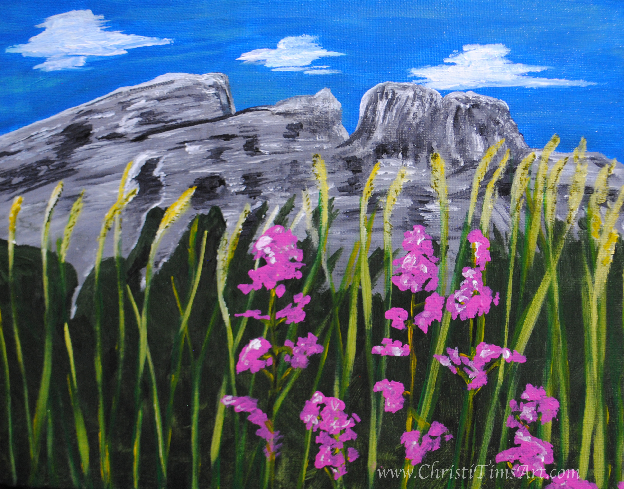 The Other Side by Christi Tims Art