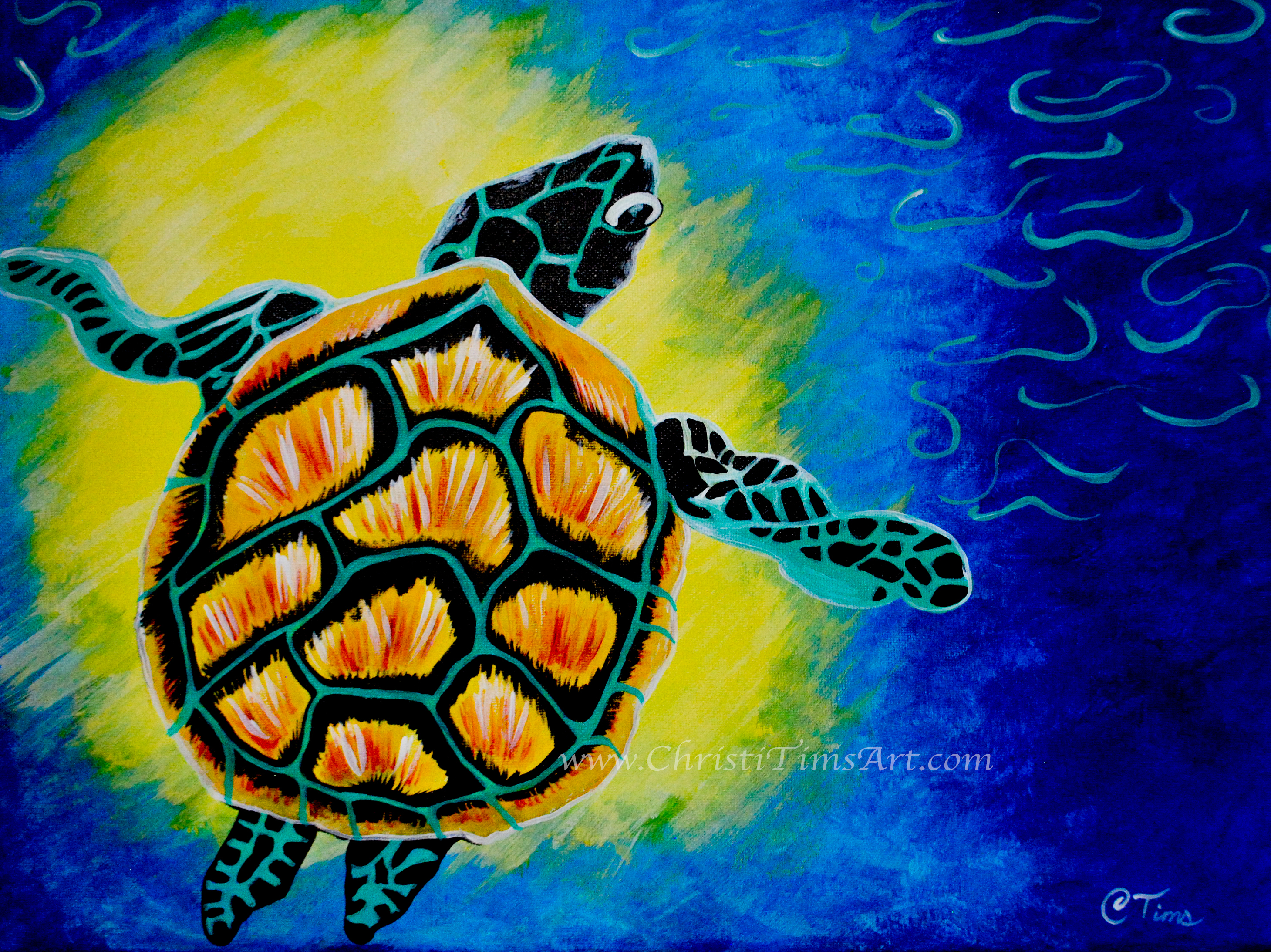 Sea Turtle by Christi Tims