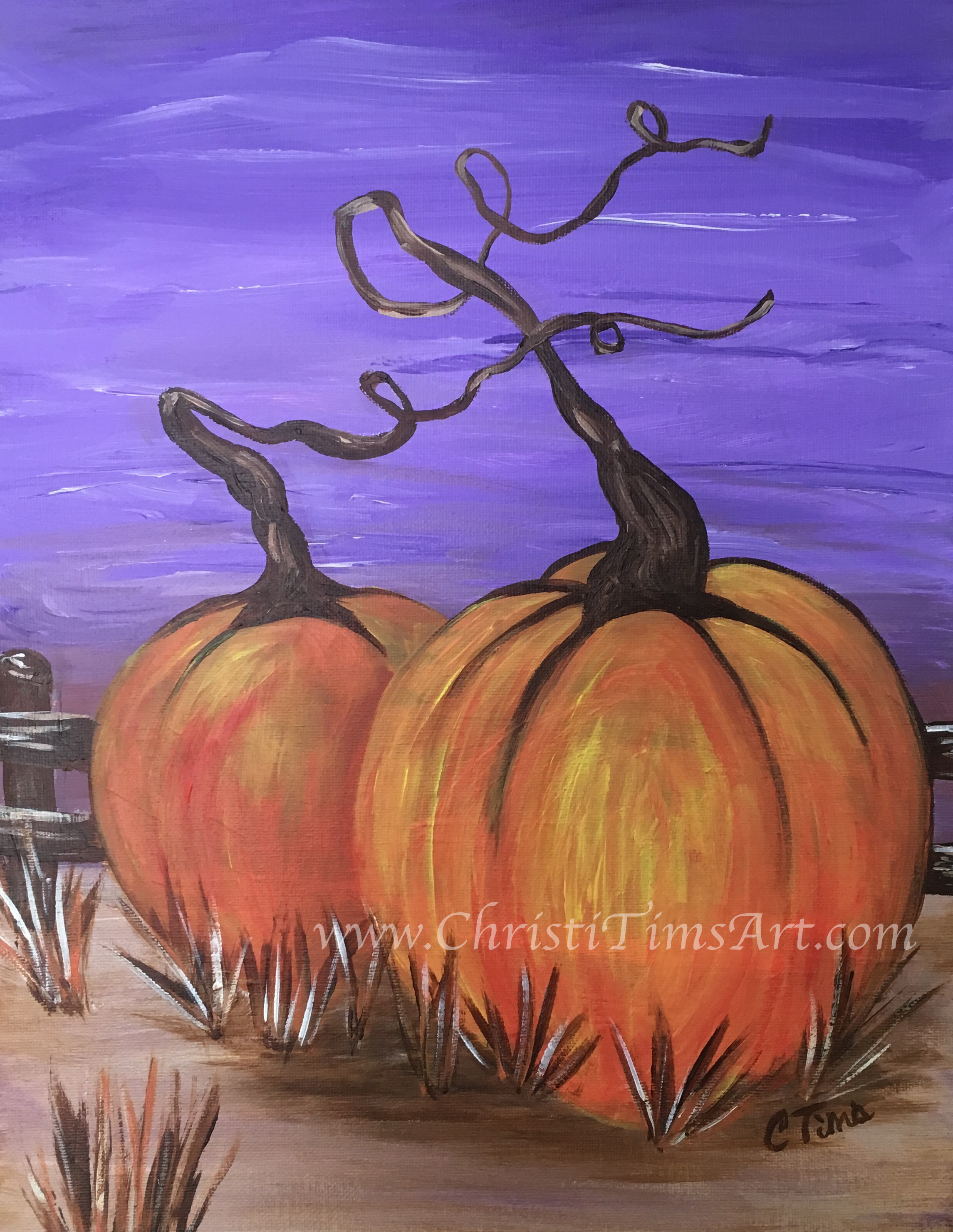 Pumpkins by Christi Tims