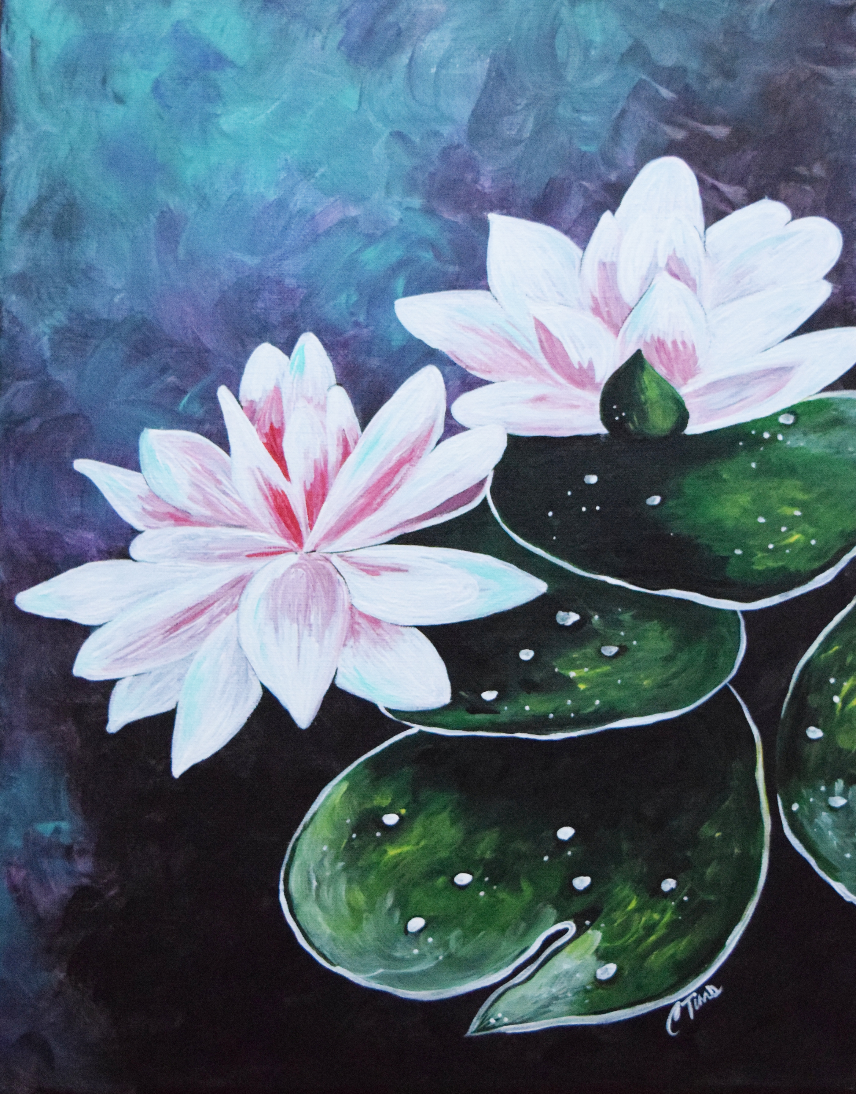 Zen Water Lilies Christi Tims