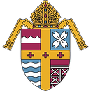 DOK logo.png