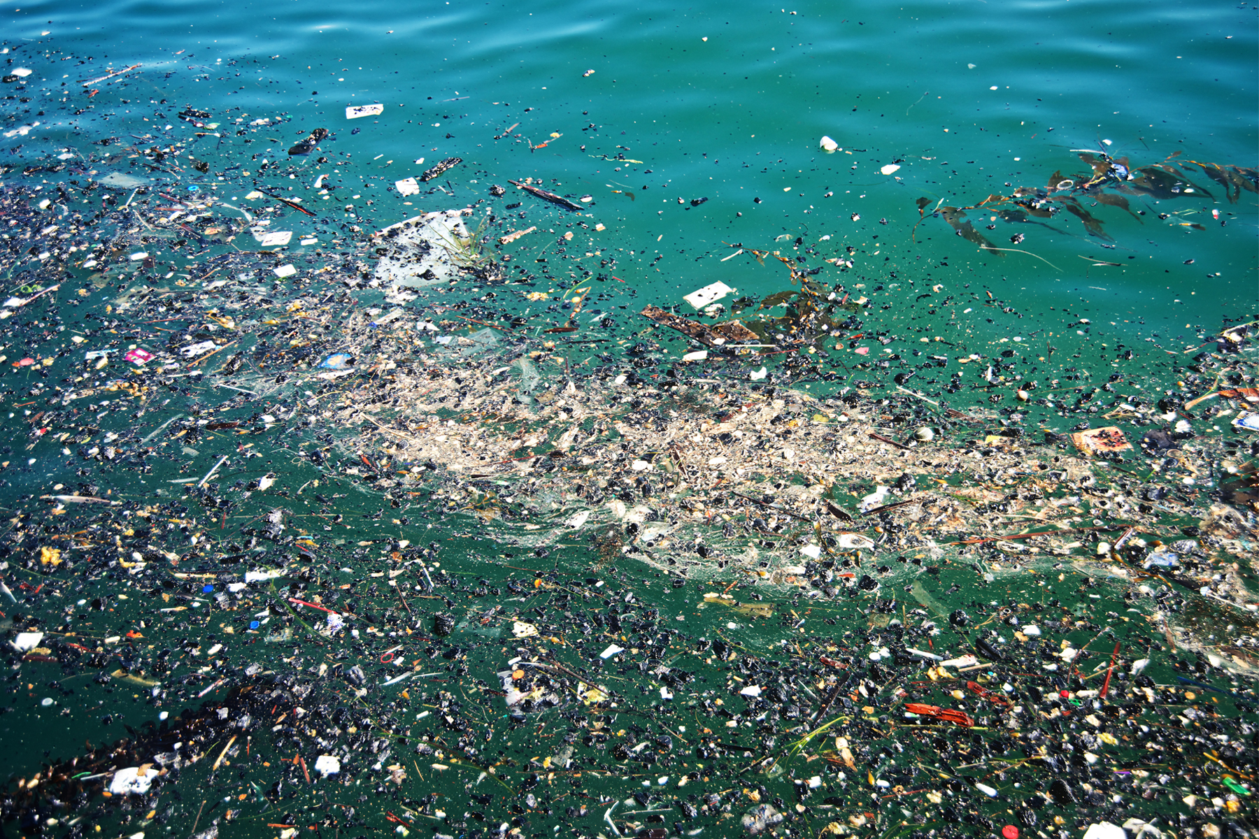 great garbage patch Transcript narrator: what is the great pacific garbage patch well first, let’s talk about what it’s not it’s not a floating island of trash, like a garbage dump or a landfill. great garbage patch Transcript narrator: what is the great pacific garbage patch well first, let’s talk about what it’s not it’s not a floating island of trash, like a garbage dump or a landfill.