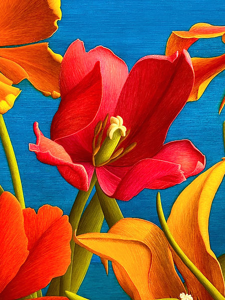 Magenta Tulip_edited.jpg