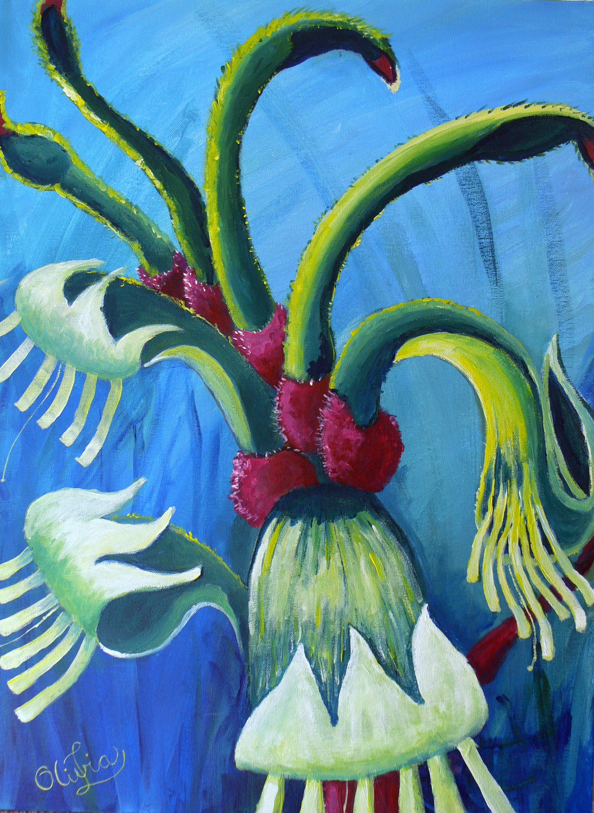 Red and Green Kangaroo Paws