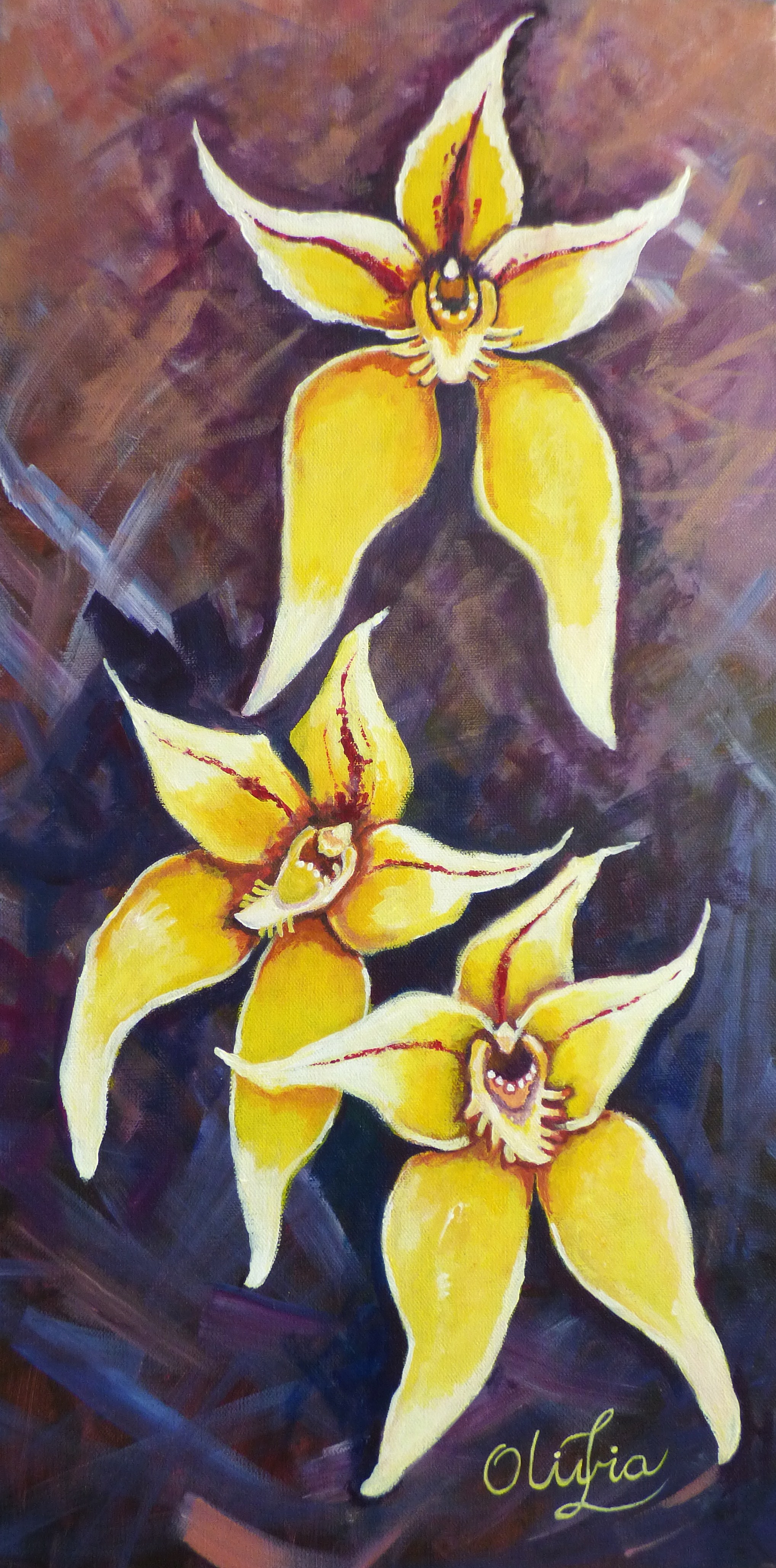 Cowslip Orchids
