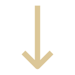 Untitled design (27).png