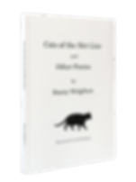 Cats of the Met Line and Other Poems by Stacey Wrighton