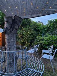 The Garden
