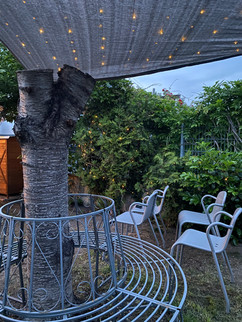 The Garden