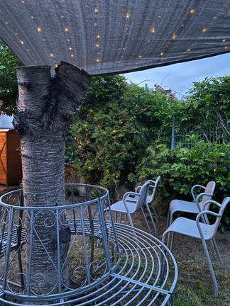 The Garden