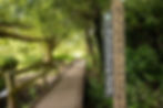 East Herts Pishiobury Park FB 2907.jpg