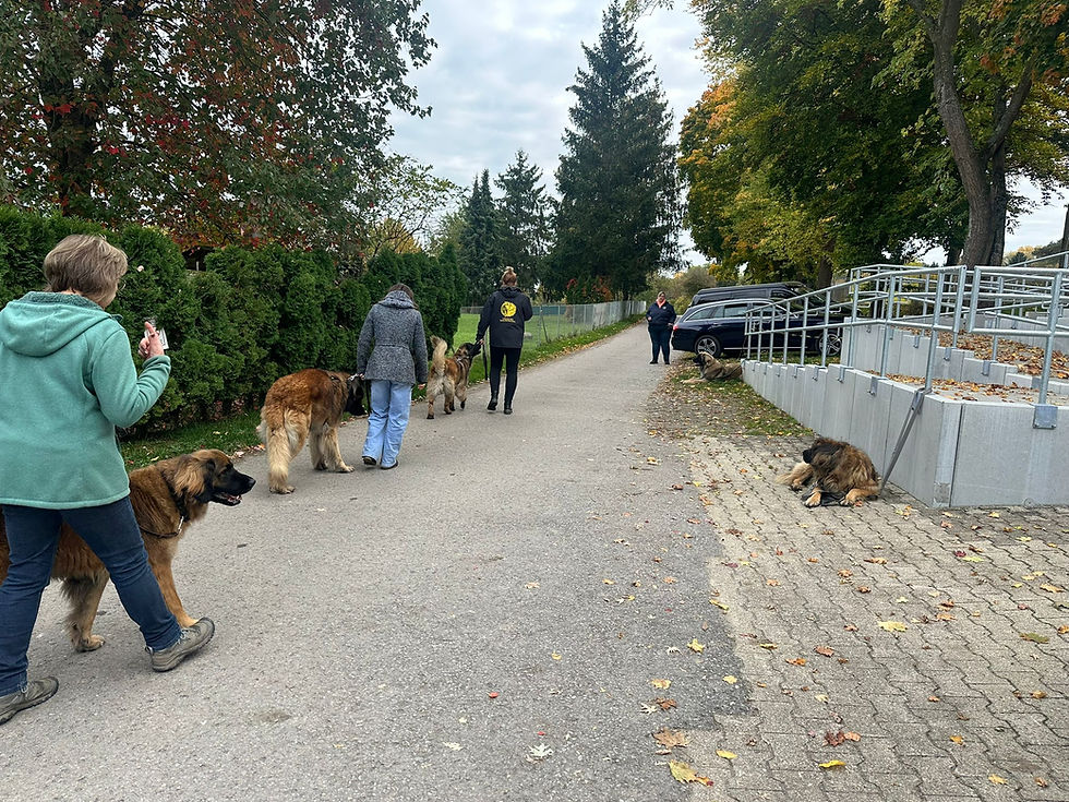 DCLH Clubmeisterschaft