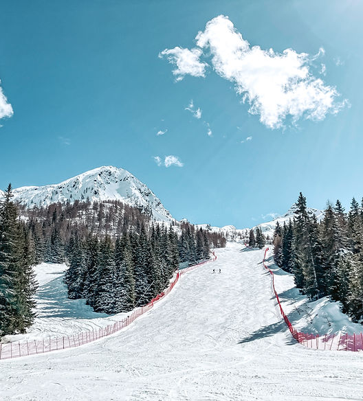 Cheney Aprica Ski-5