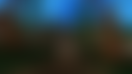 MIST FALL, THE NEW AREA!