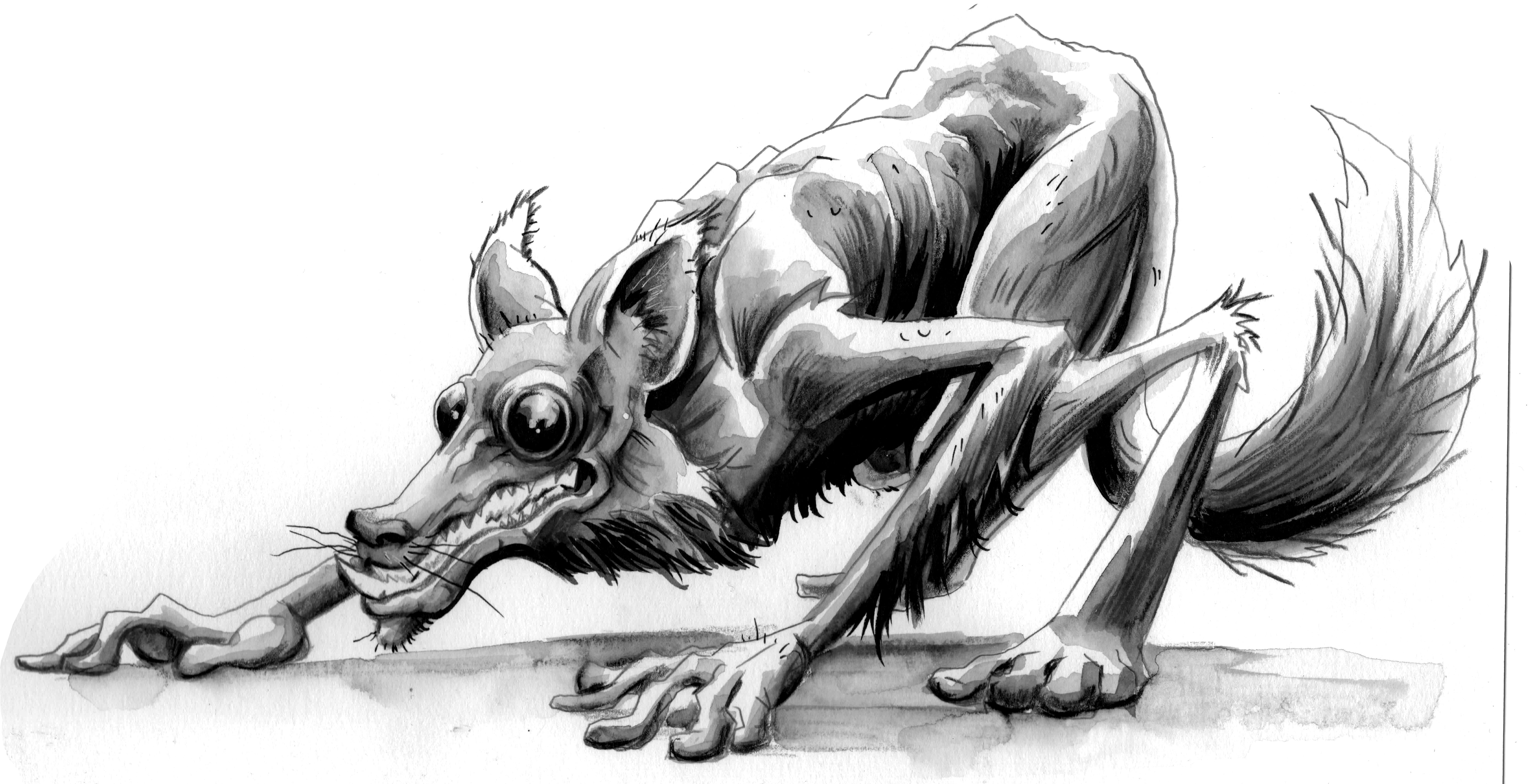 freakfox