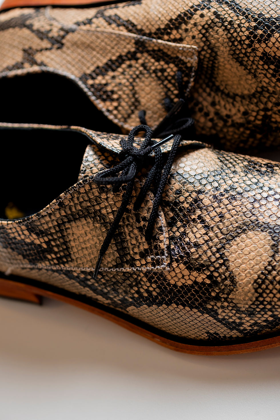 Miniatura: Black Beige Snake