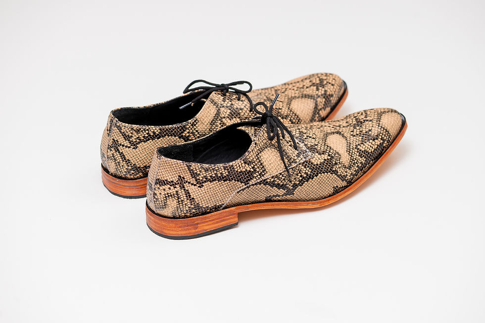 Miniatura: Black Beige Snake