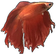 bettamax hybrid.jpg