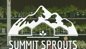 Cultivating Growth at Summit Sprouts!