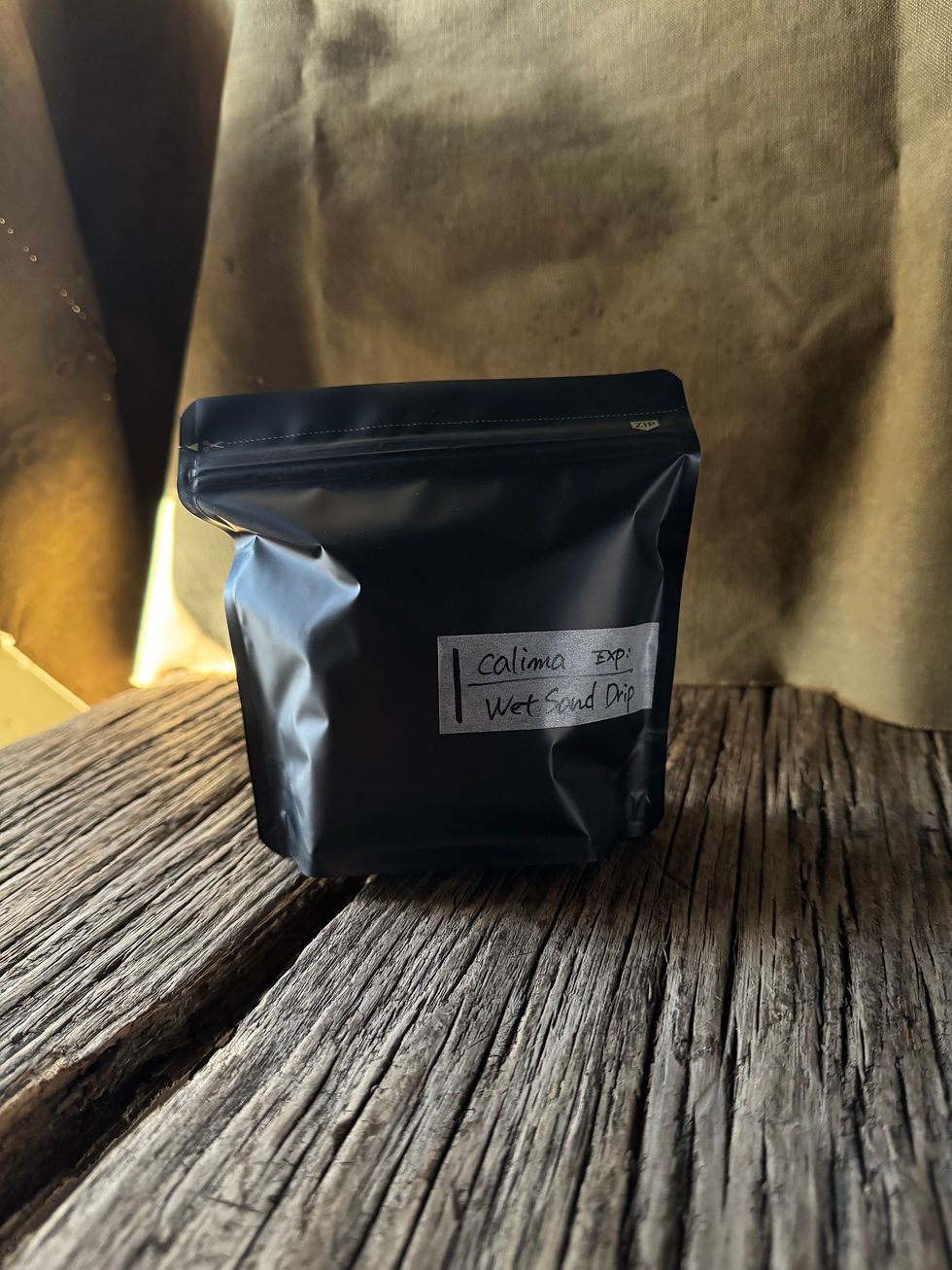 サムネイル： Panama / El Palomar GEISHA Natural：絶品とは、このこと。最高を求めるあなたに。一年に一度きりのゲイシャ。今年もご用意しました。開けた瞬間から漂う、格の違い。ドリップにゆらめく、陽炎。思わず酔いそうになる芳醇な香りと、