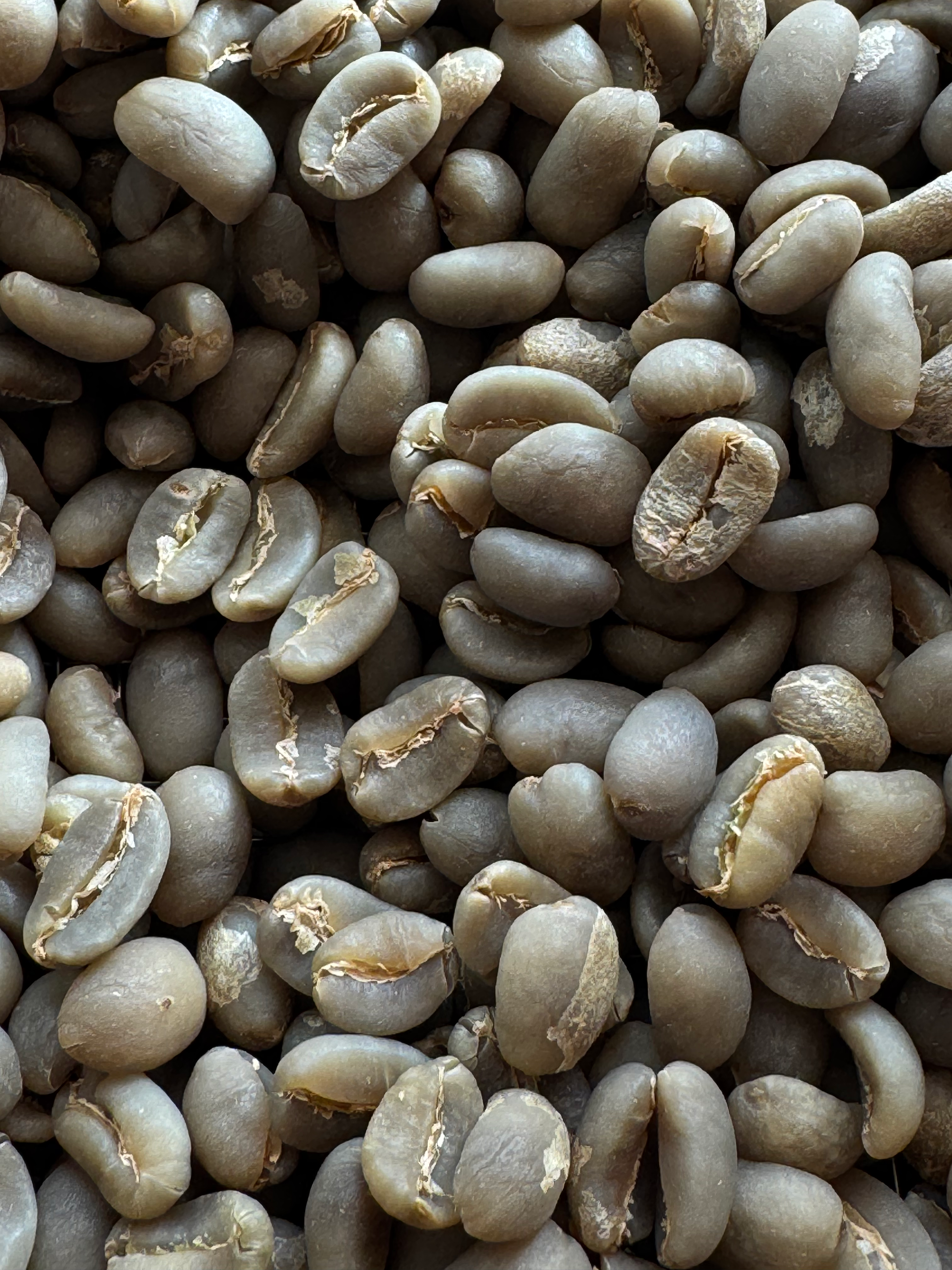 Indonesia / Mandheling Pollun Alfiner：濃厚に抜けていく甘みと、透明に溶けていく甘み。それはまるで絹の上を滑るような、柔らかな余韻。ポルンアルフィナー。Indonesia / Mandheling Pollung