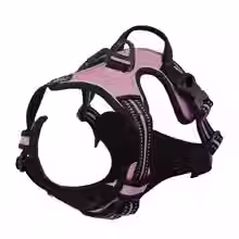 Thumbnail: Pink and black dog harness