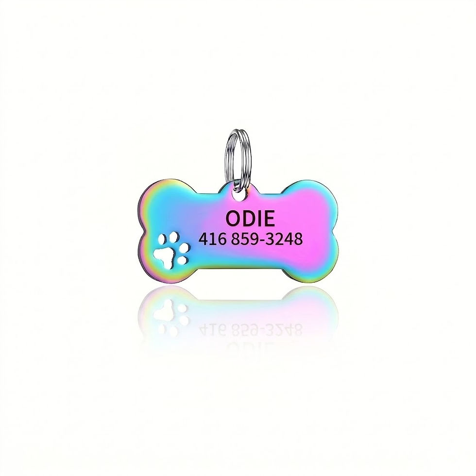 Thumbnail: Rainbow bone pet tag: ODIE 426-659-3348