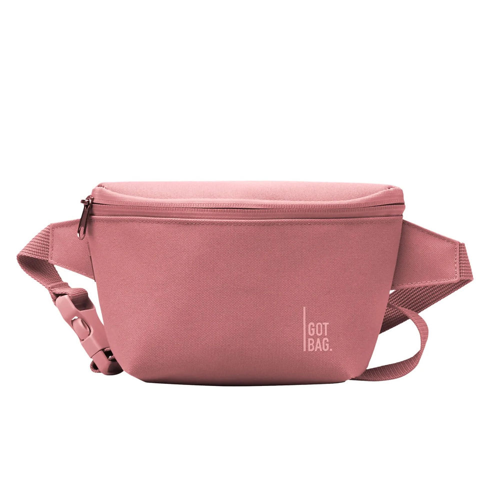 Miniature : Hip Bag -Got Bag