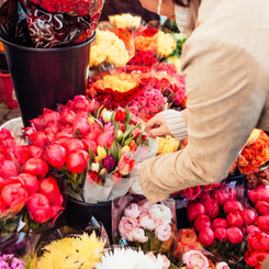 Flower Market