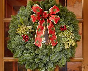 Celebrate the holiday season and help support the FMDSA "Fibromuscular Dysplasia Patient Regist