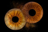 Two warm brown irises in a custom iris art design