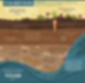 compost-soil.jpg