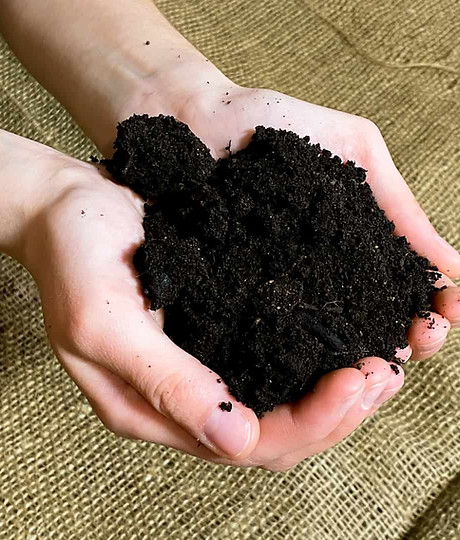 Black-Compost.jpg