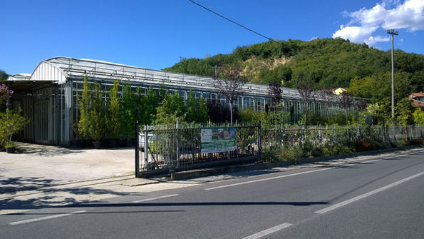 azienda vivaio san damiano asti piante alberi fiori garden
