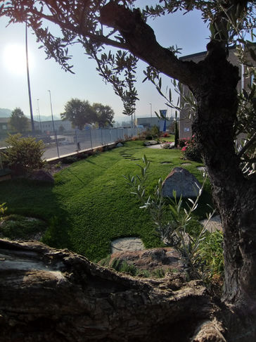 area verde di grande effetto per l'azienda