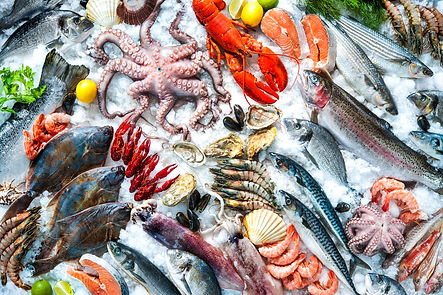 fish-markets-alexander-raths.jpg