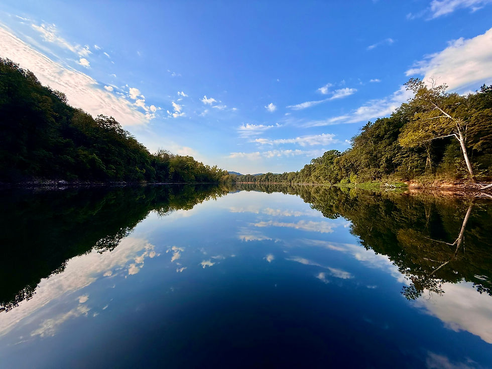 D87137E3-932D-48F5-A798-D4B80EB90919_1_102_a.jpeg