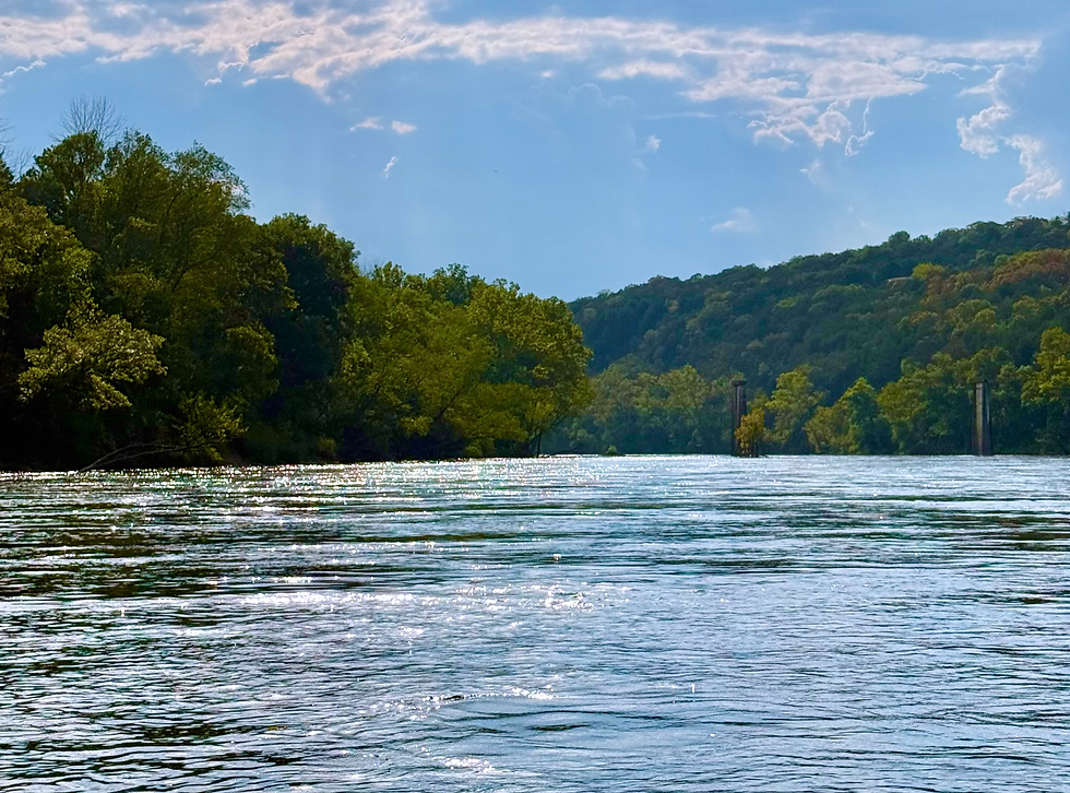 Scenic water and wooded Ozark hills