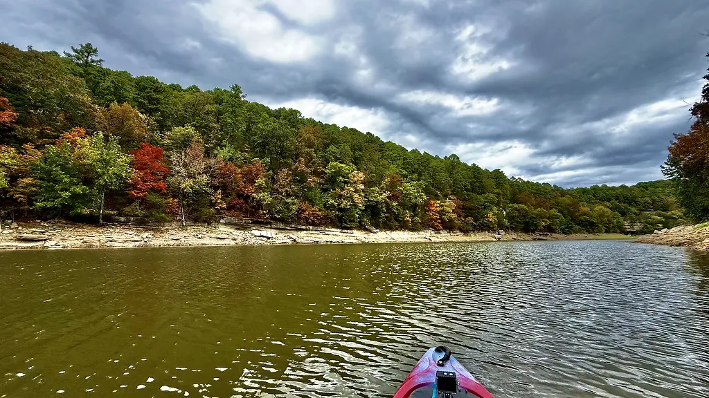 Wooded Beaver Lake shoreline viewed from a kayak