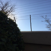 Electric-Fence-Sticks-Used.jpeg