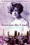 Between the Cracks book cover image.jpeg