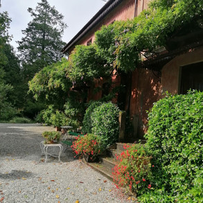 casa-della-gioia-11