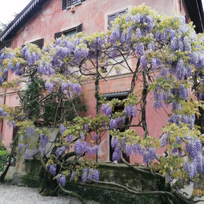 casa-della-gioia-7