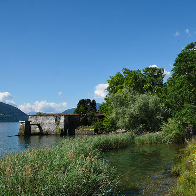 isole brissago 4