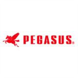 Logo_Pegasus