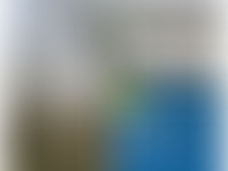 Selongey: Byn ser fin ut på bilder...