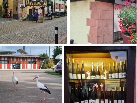 Türckheim: I storkarnas och vinets stad