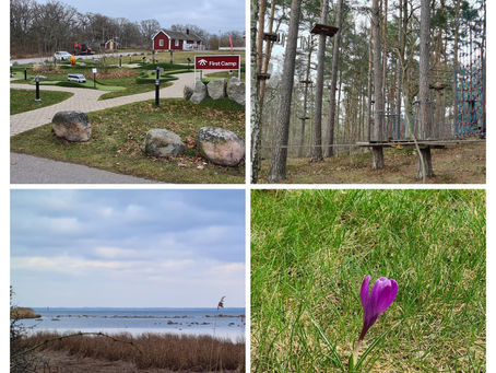Stensö camping: En åretrunt bostad för några