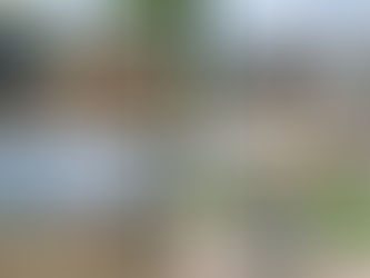 Rosas: En dag längs strandpromenaden